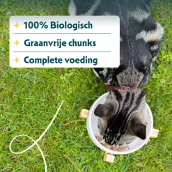 Kattenvoer<Yarrah 16x Bio Kattenvoer Chunks Vis 100 gr