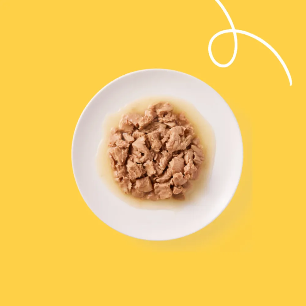 Kattenvoer<Yarrah 14x Bio Kattenvoer Kalkoen 85 gr