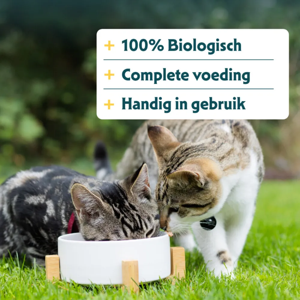 Kattenvoer<Yarrah 14x Bio Kattenvoer Kalkoen 85 gr