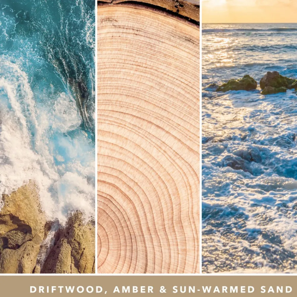 Kaarsen|Geurkaarsen<Yankee Candle Geurkaars Medium Jar Amber & Sandalwood 368 gr