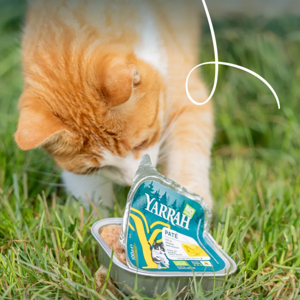 Kattenvoer<Yarrah Bio Alu Paté Grainfree Kattenvoer Nat Kip 100 gr