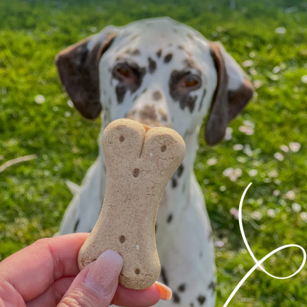 Bio Hondenkoekjes Vegetarisch 500 gr^Yarrah Online