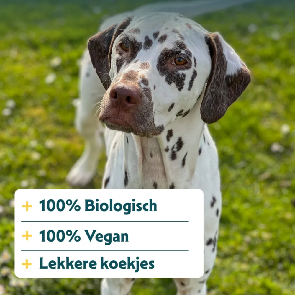Bio Hondenkoekjes Vegetarisch 500 gr^Yarrah Online