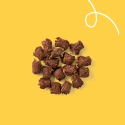 Hot Bio Hondensnack Mini Bites 100 gr Snacks