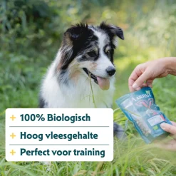 Hot Bio Hondensnack Mini Bites 100 gr Snacks