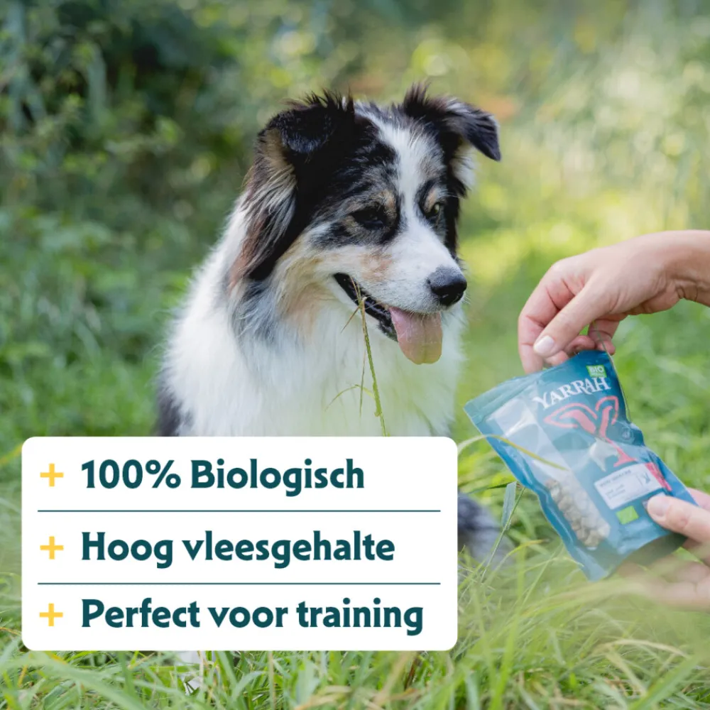 Hot Bio Hondensnack Mini Bites 100 gr Snacks