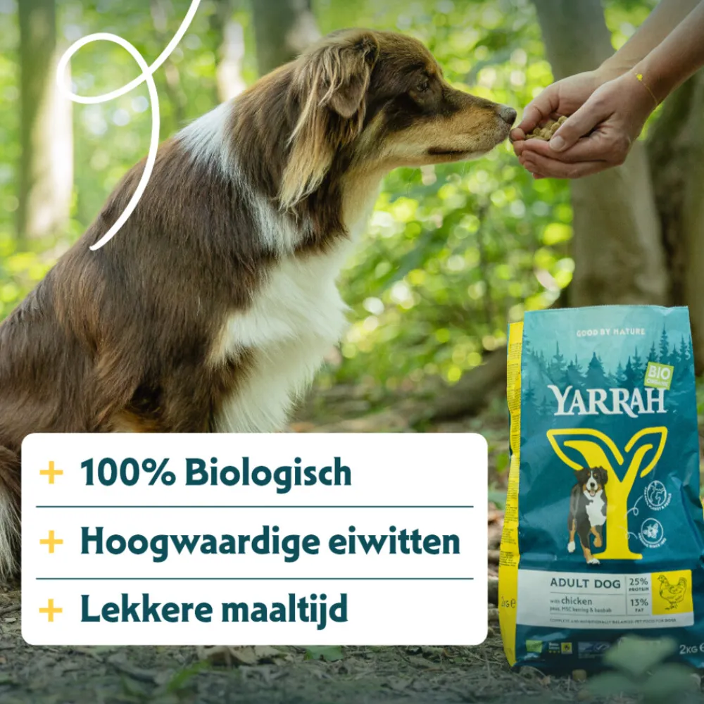 Hondenvoer<Yarrah Bio Hondenvoer Adult Kip 2 kg