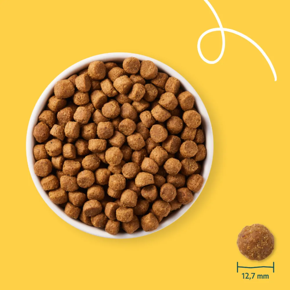 Bio Hondenvoer Adult Kip 15 kg Hondenvoer