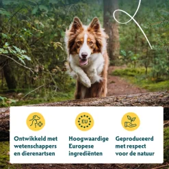 Bio Hondenvoer Adult Kip 15 kg Hondenvoer