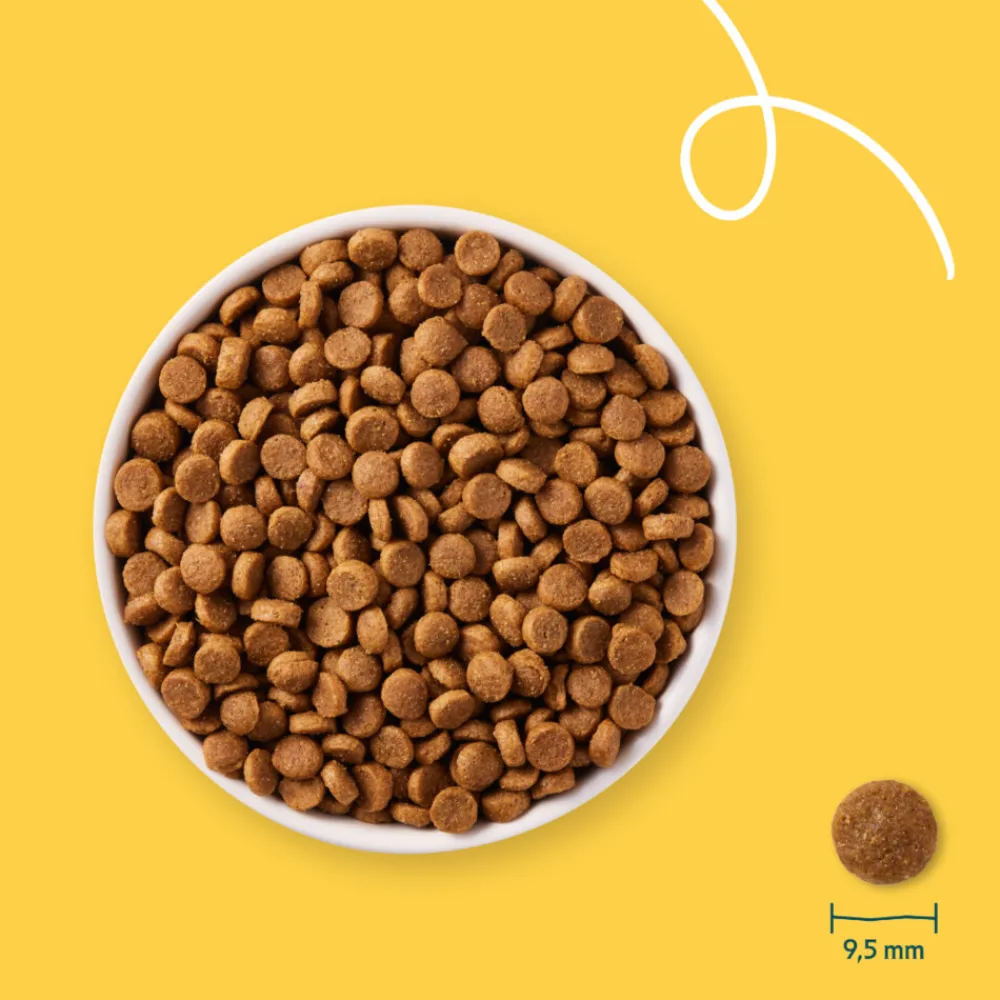 Bio Hondenvoer Adult Small Breed Kip 2 kg^Yarrah Best