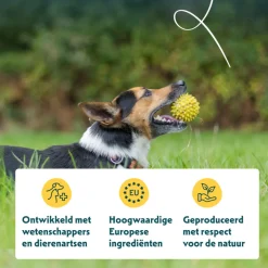 Bio Hondenvoer Adult Small Breed Kip 2 kg^Yarrah Best