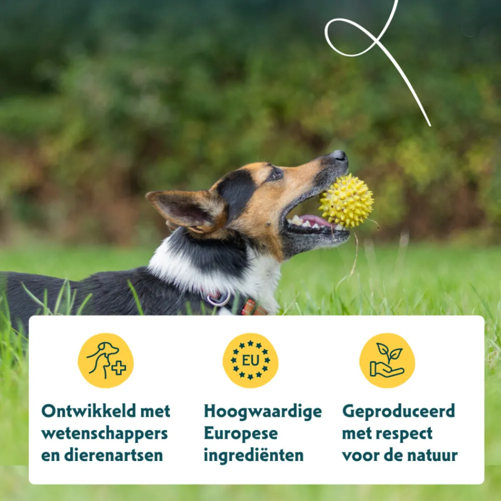 Bio Hondenvoer Adult Small Breed Kip 2 kg^Yarrah Best