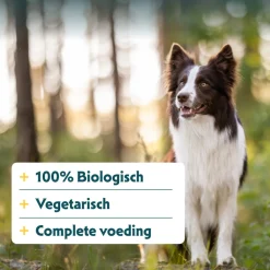 Online Bio Hondenvoer Chunks Vegetarisch 150 gr Hondenvoer