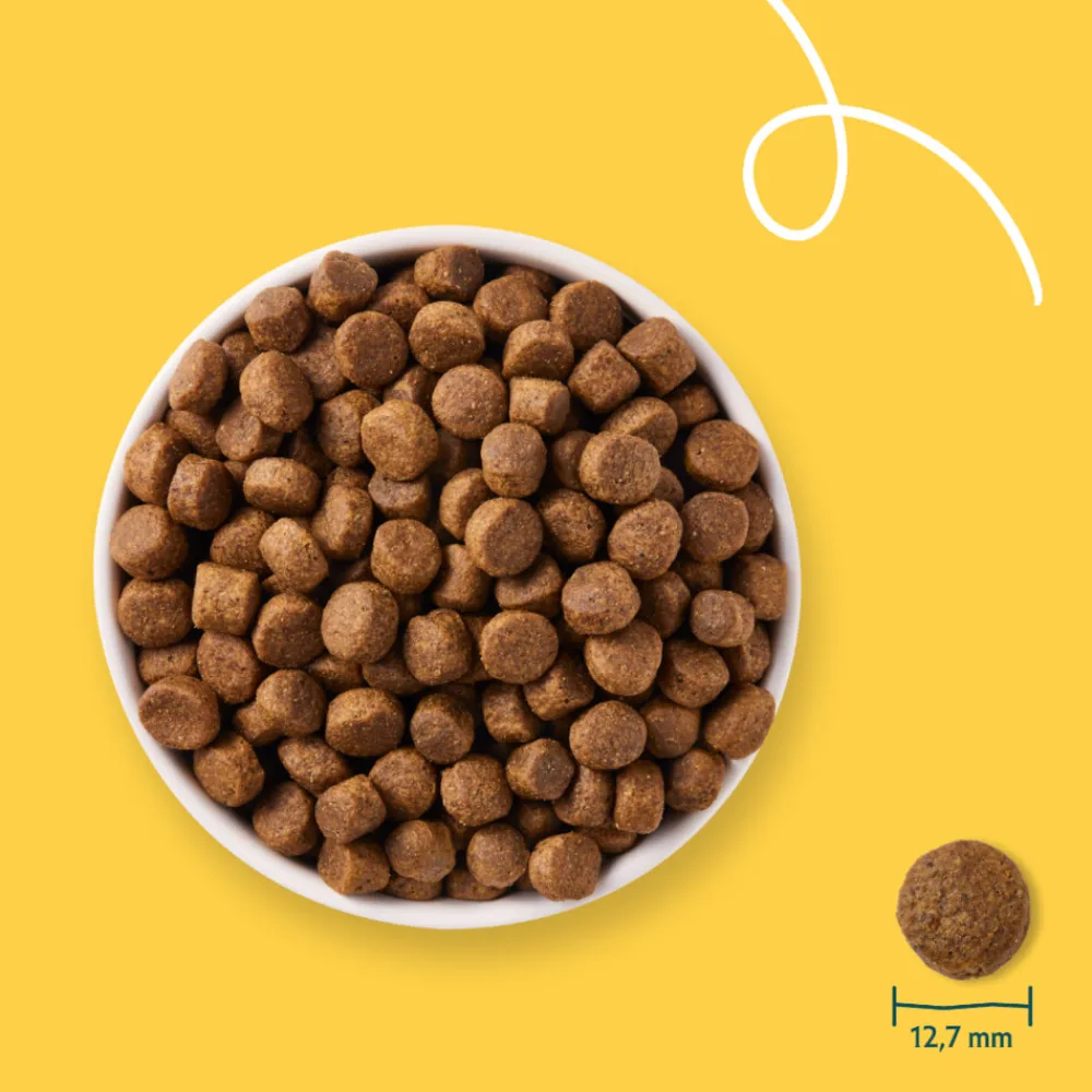 Hondenvoer<Yarrah Bio Hondenvoer Graanvrij Kip & Vis 2 kg