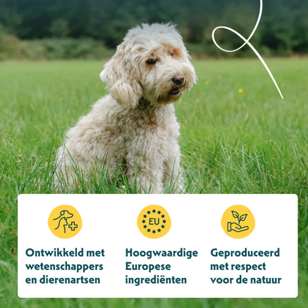 Hondenvoer<Yarrah Bio Hondenvoer Graanvrij Kip & Vis 2 kg