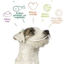 Bio Hondenvoer Multipack Paté Graanvrij Rund & Kip 6 x 150 gr Hondenvoer