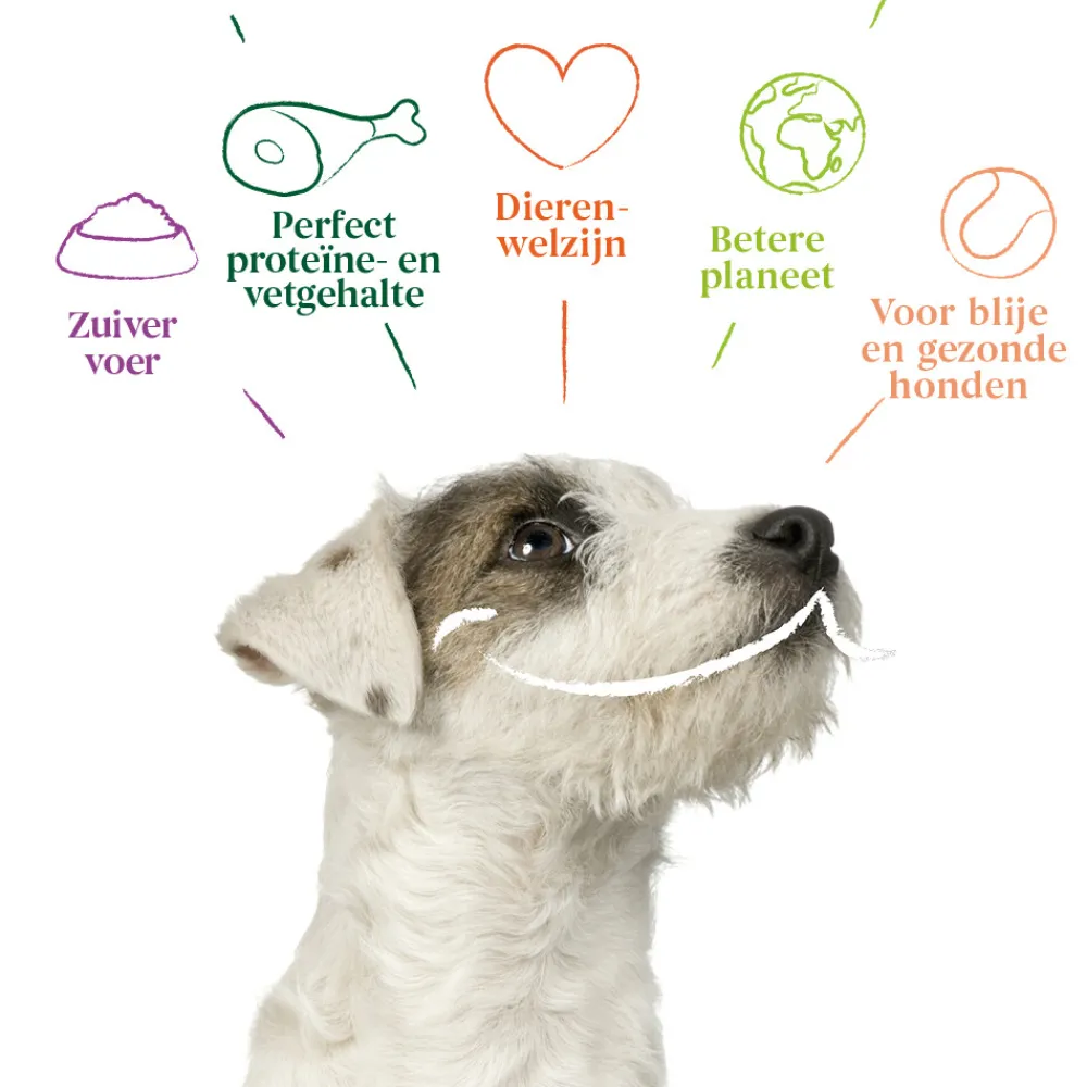 Bio Hondenvoer Multipack Paté Graanvrij Rund & Kip 6 x 150 gr Hondenvoer