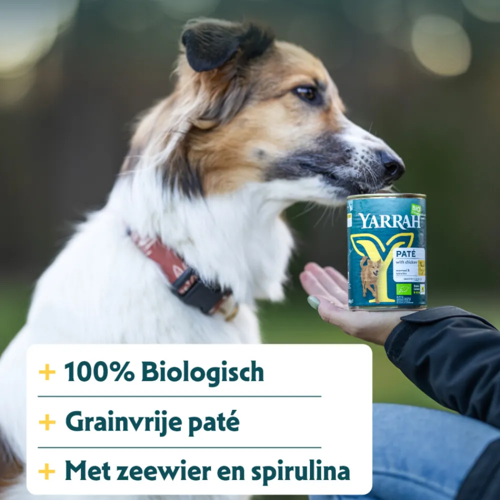 Hot Bio Hondenvoer Paté Kip 400 gr Hondenvoer