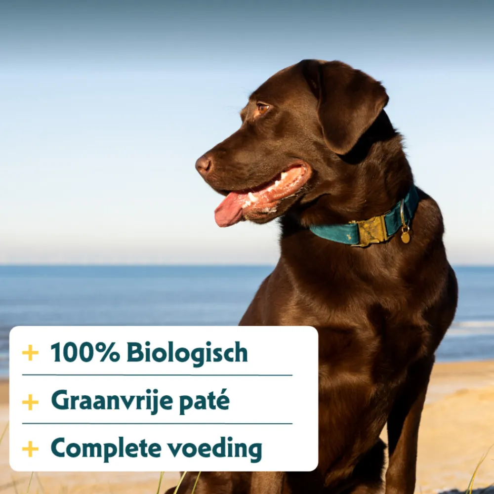 Hondenvoer<Yarrah Bio Hondenvoer Paté Varken 400 gr