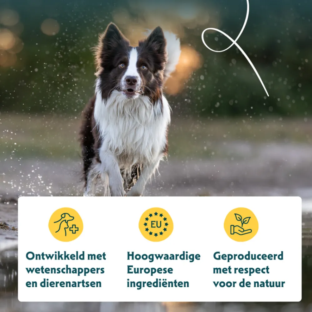 Sale Bio Hondenvoer Paté Kip 150 gr Hondenvoer