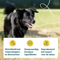 Bio Hondenvoer Senior Kip 2 kg Hondenvoer