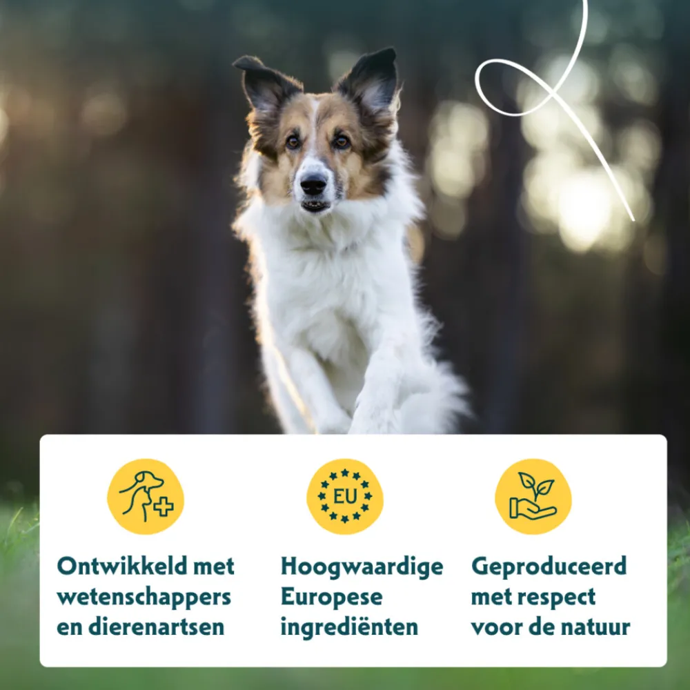 Bio Hondenvoer Sensitive Adult Kip & Rijst 10 kg^Yarrah New