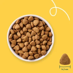 Hondenvoer<Yarrah Bio Hondenvoer Vegetarisch 10 kg