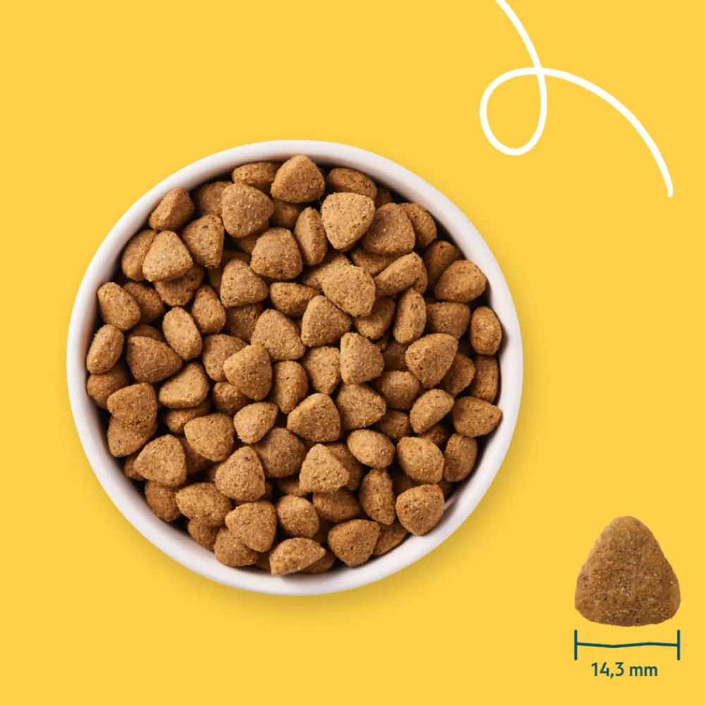 Hondenvoer<Yarrah Bio Hondenvoer Vegetarisch 10 kg