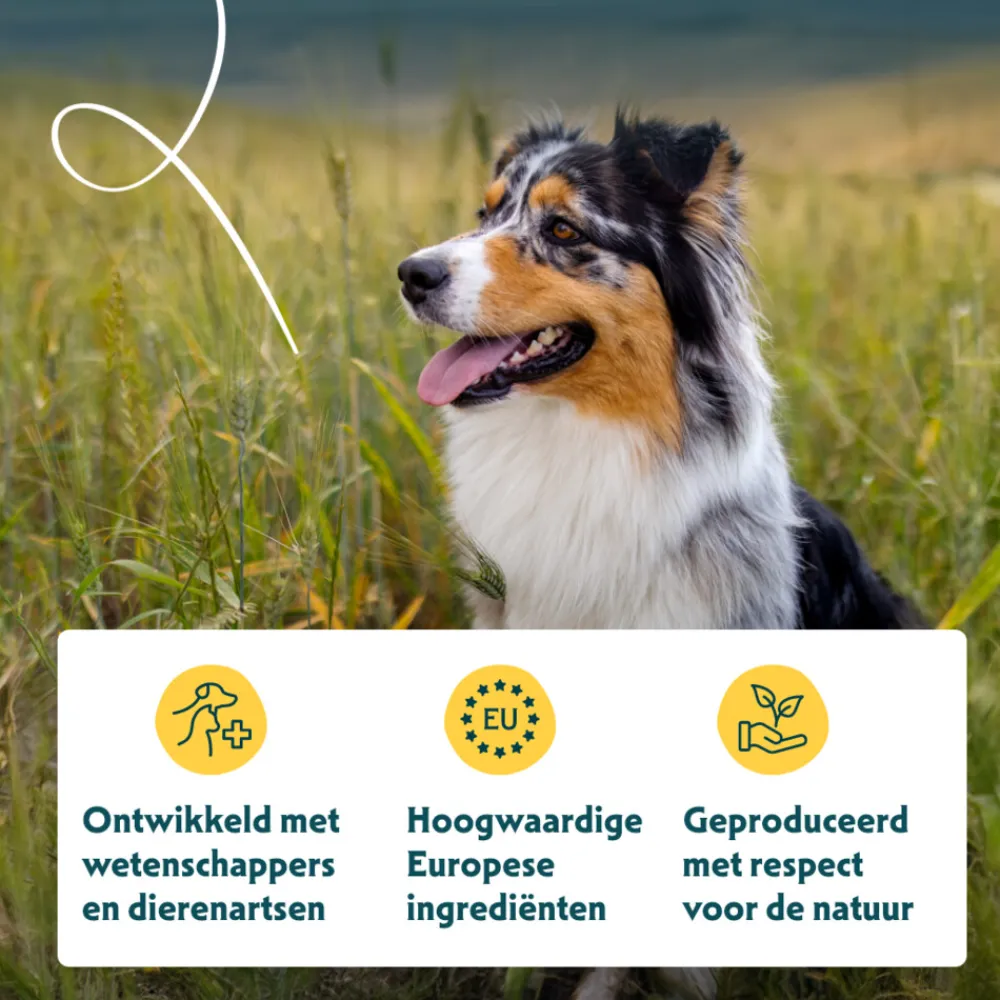 Hondenvoer<Yarrah Bio Hondenvoer Vegetarisch 10 kg