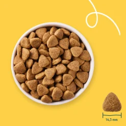 Online Bio Hondenvoer Vegetarisch Tarwe Vrij 10 kg Hondenvoer