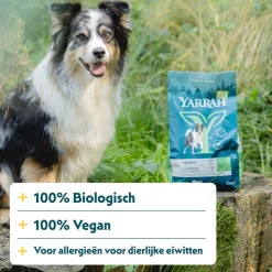 Sale Bio Hondenvoer Vegetarisch 2 kg Hondenvoer