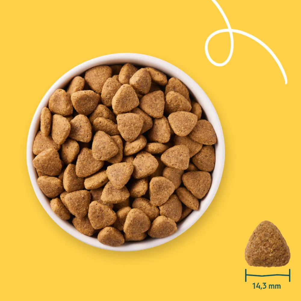 Bio Hondenvoer Vegetarisch Tarwe Vrij 2 kg^Yarrah New