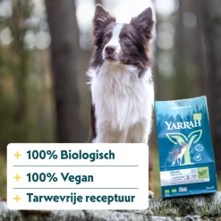 Bio Hondenvoer Vegetarisch Tarwe Vrij 2 kg^Yarrah New