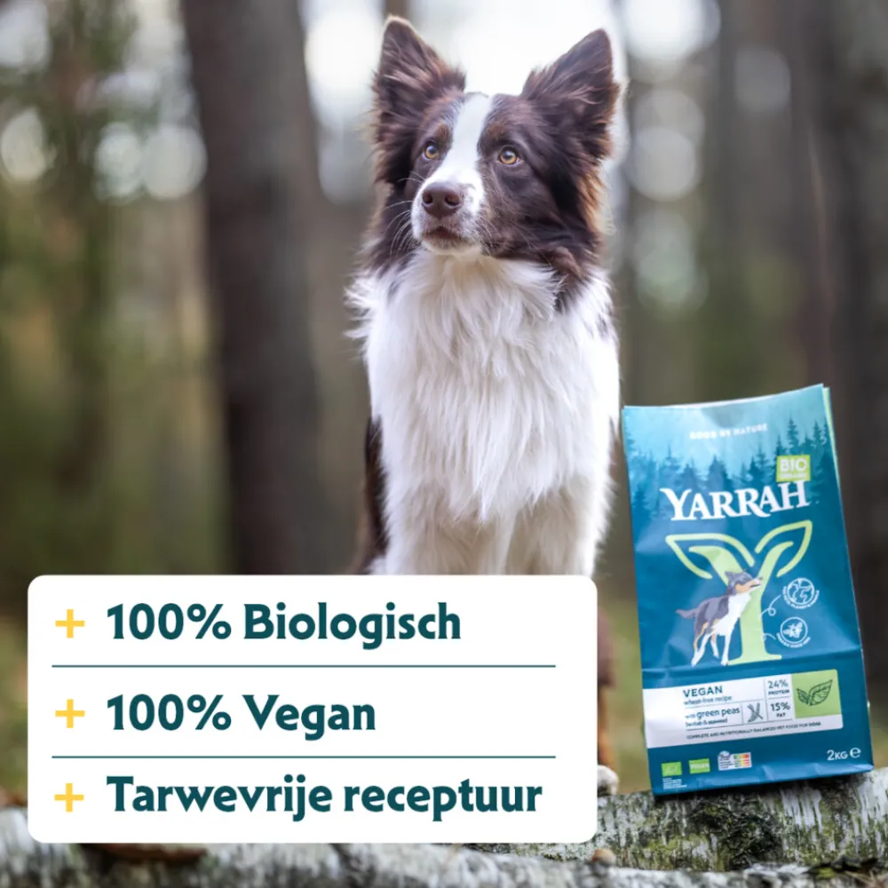 Bio Hondenvoer Vegetarisch Tarwe Vrij 2 kg^Yarrah New