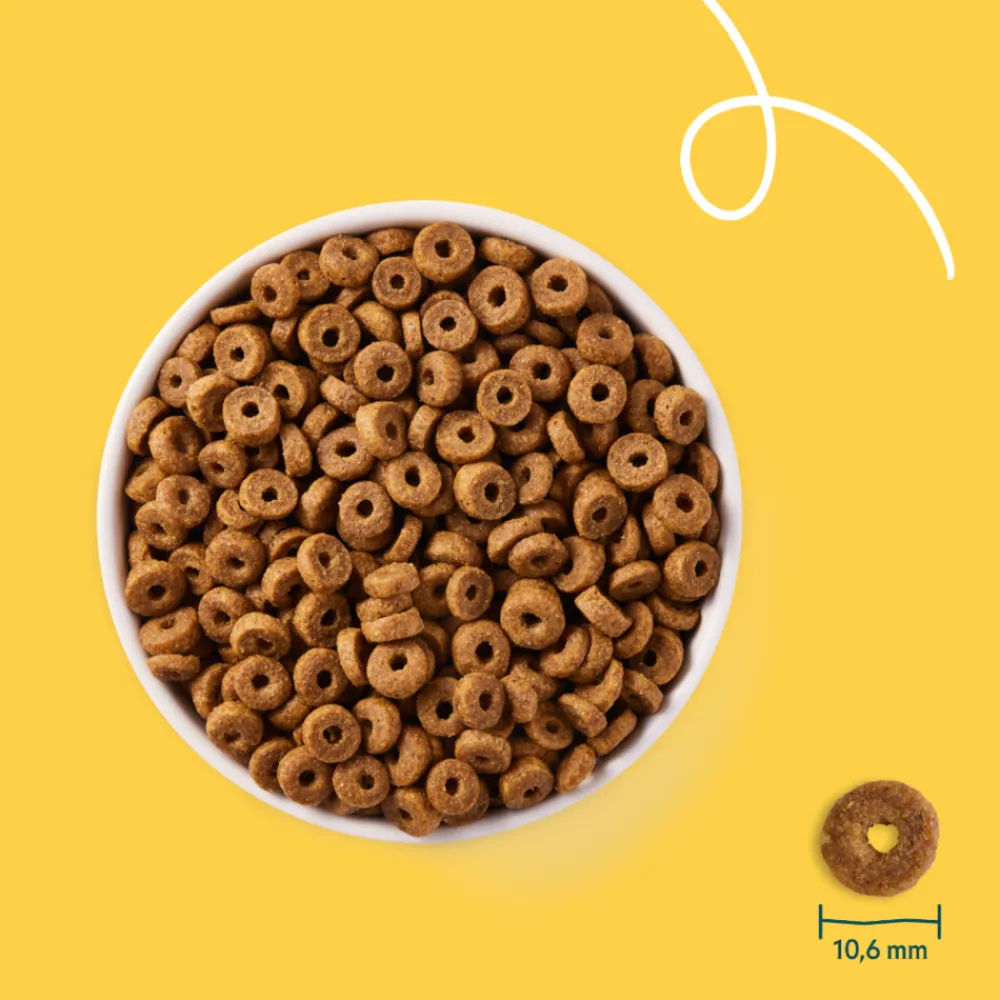 Kattenvoer<Yarrah Bio Kattenvoer Adult Vis 10 kg