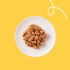 Bio Kattenvoer Chunks Kip & Rund 100 gr^Yarrah Sale