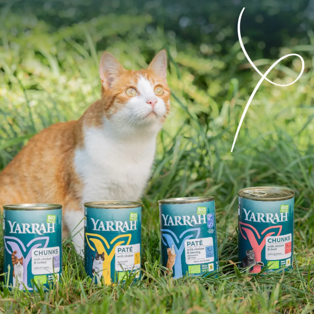 Kattenvoer<Yarrah Bio Kattenvoer Chunks Kip & Rund 405 gr