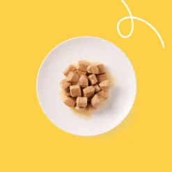 Bio Kattenvoer Chunks Kip & Kalkoen 405 gr^Yarrah Hot