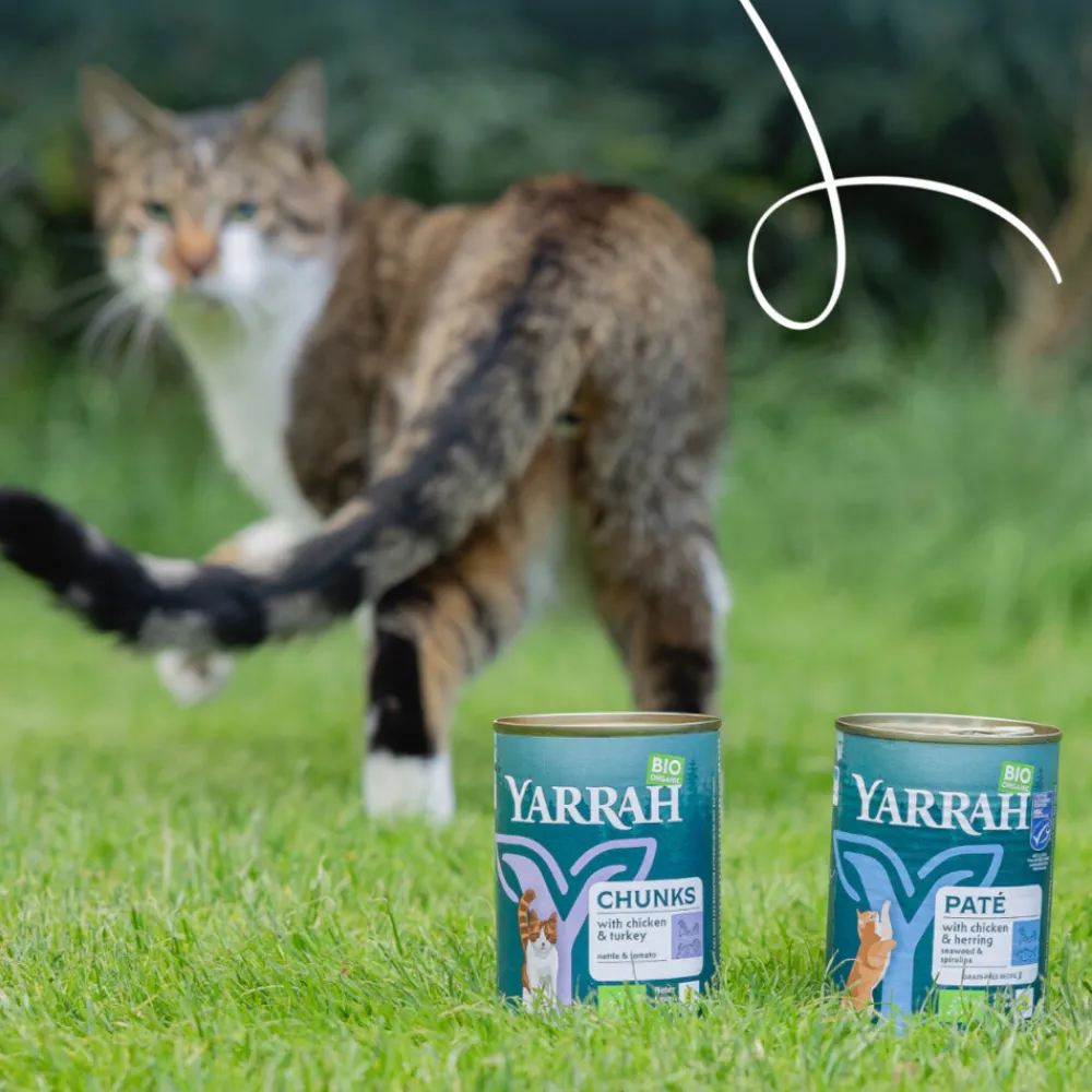 Bio Kattenvoer Chunks Kip & Kalkoen 405 gr^Yarrah Hot