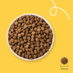 Kattenvoer<Yarrah Bio Kattenvoer Graanvrij Kip & Vis 10 kg