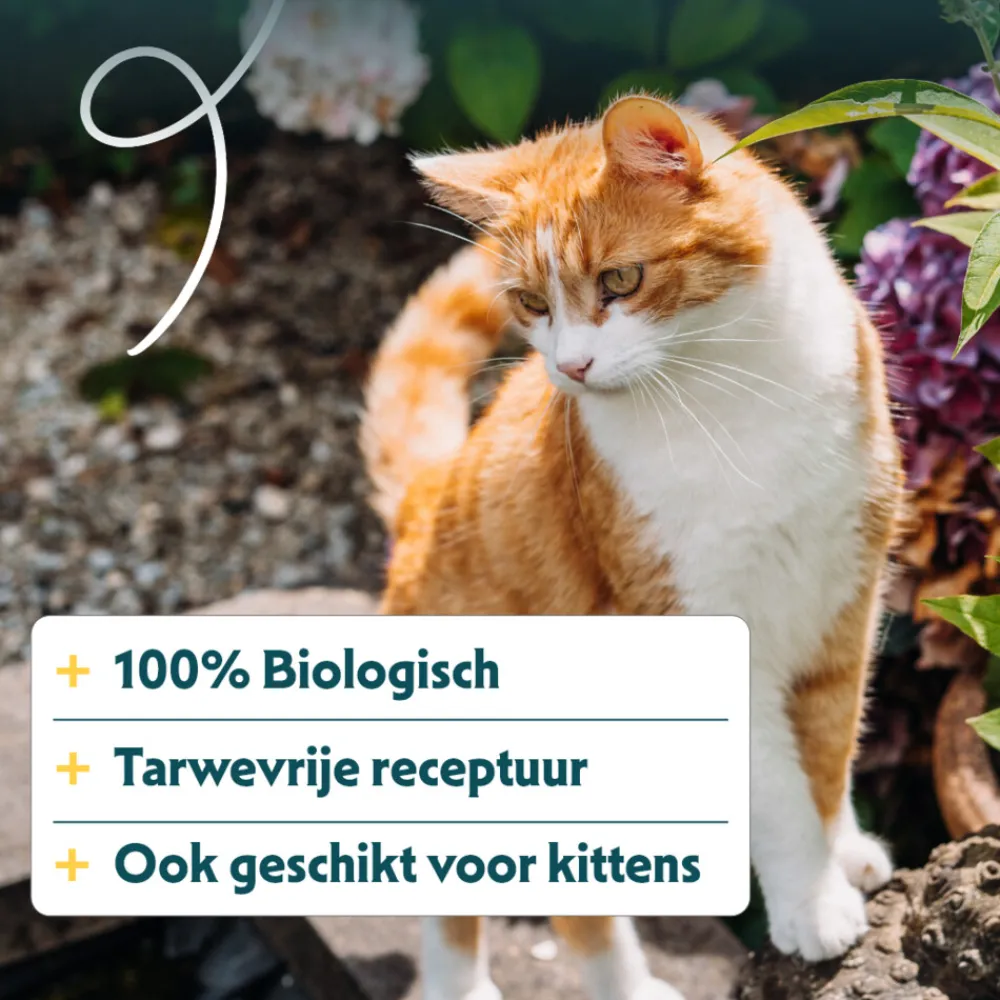 Kattenvoer<Yarrah Bio Kattenvoer Graanvrij Kip & Vis 10 kg
