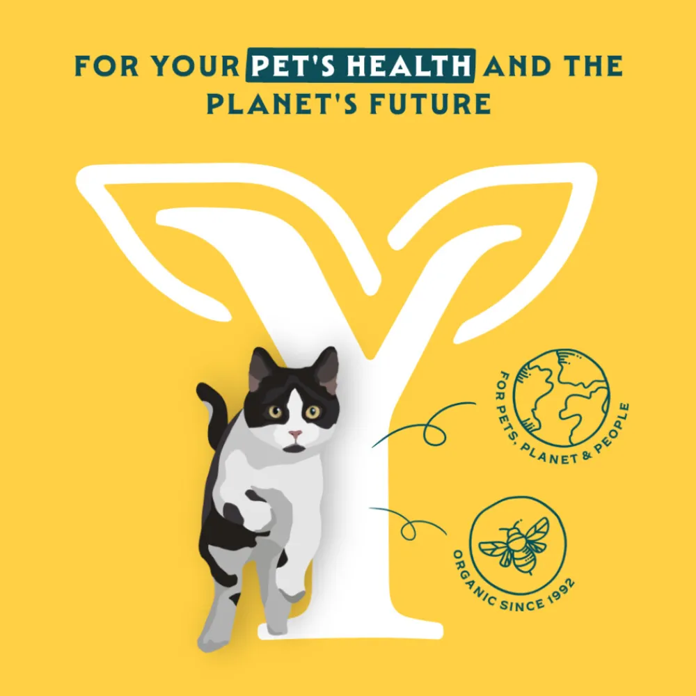 Best Bio Kattenvoer Multipack Paté Graanvrij Kip & Rund 8 x 100 gr Kattenvoer