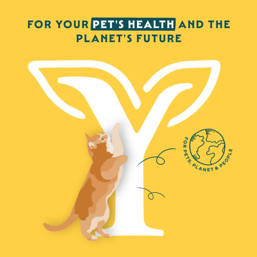 Bio Kattenvoer Paté Vis 400 gr^Yarrah Discount