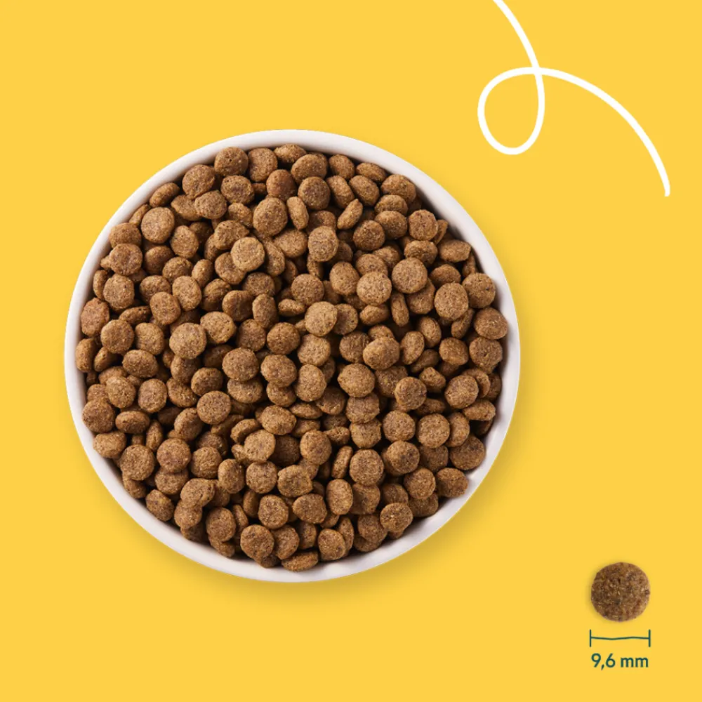 Bio Kattenvoer Sterilised 2 kg^Yarrah Clearance