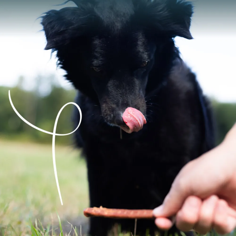 Best Bio Kauwstaafjes Hond Rund 3 stuks Snacks