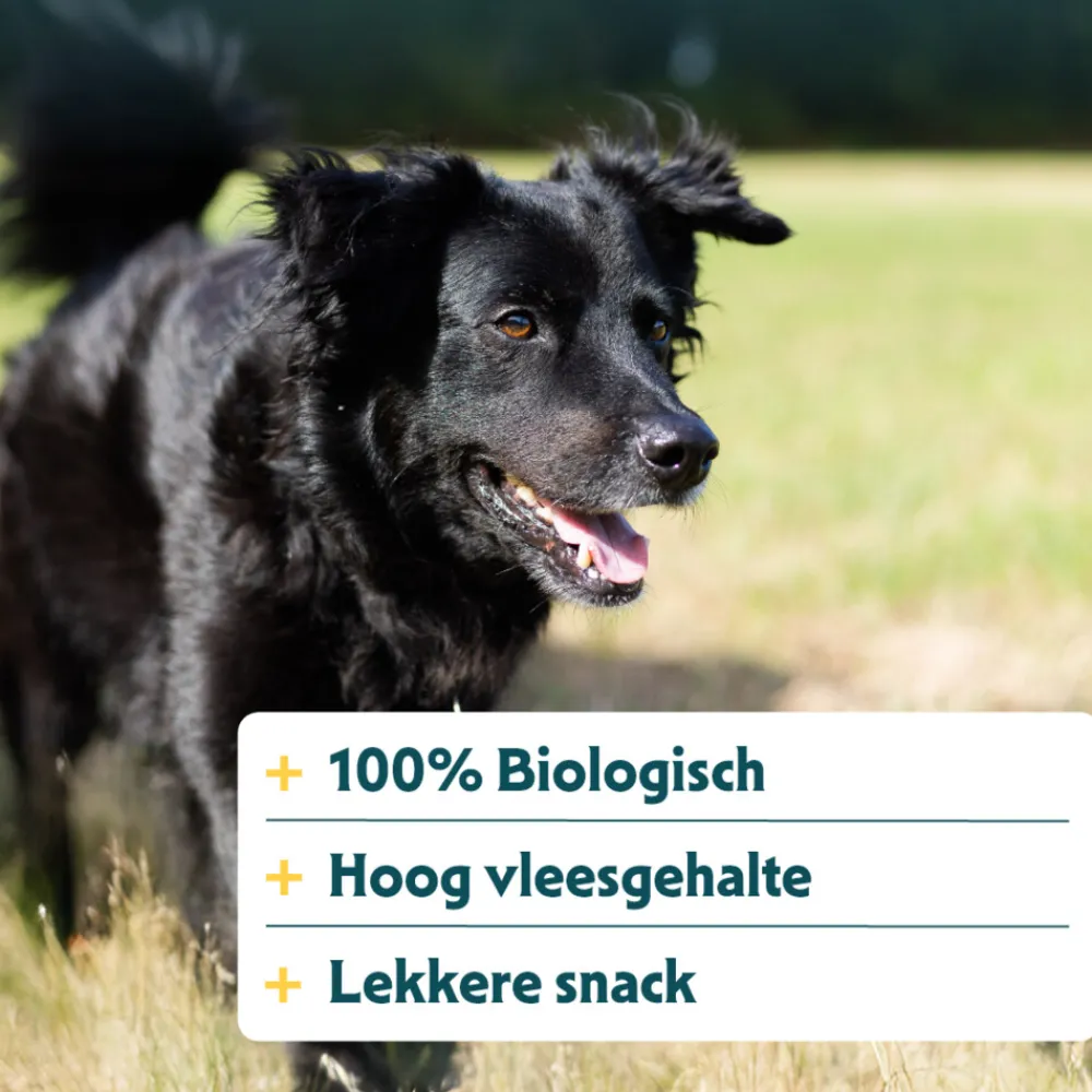 Best Bio Kauwstaafjes Hond Rund 3 stuks Snacks