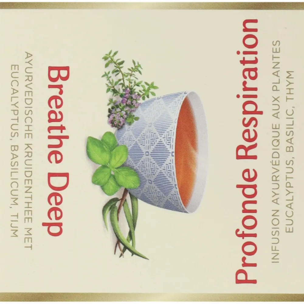 Hot Breathe Deep Biologisch 17 stuks Thee