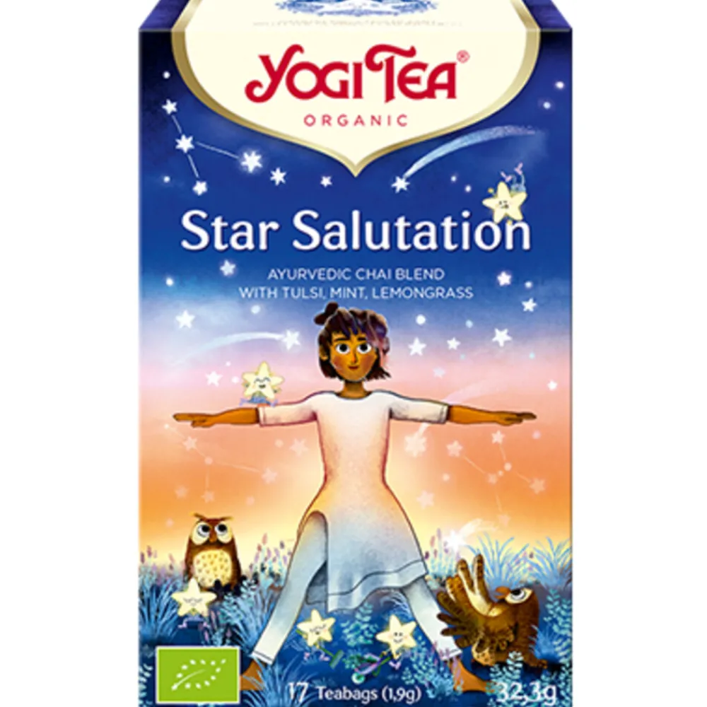Star Salutation Biologisch 17 stuks^Yogi tea
