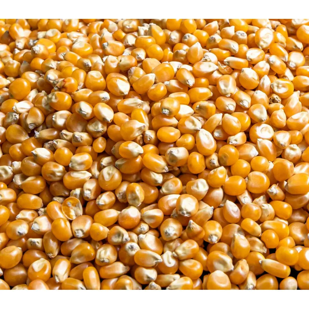 Discount Pofmais Bio 400 gr Bakken